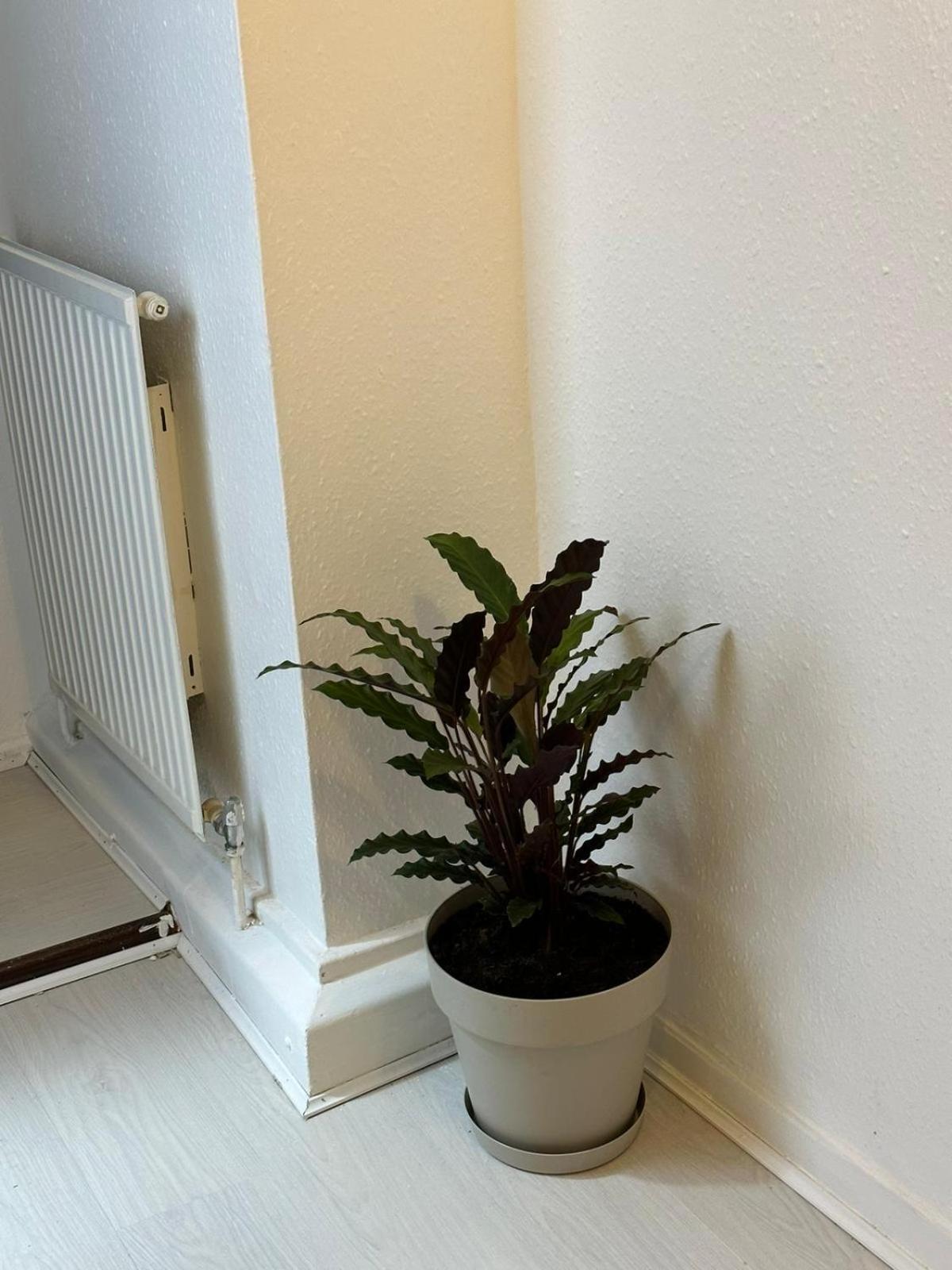 3 Bedroom King Cross Station City Centre London Luaran gambar